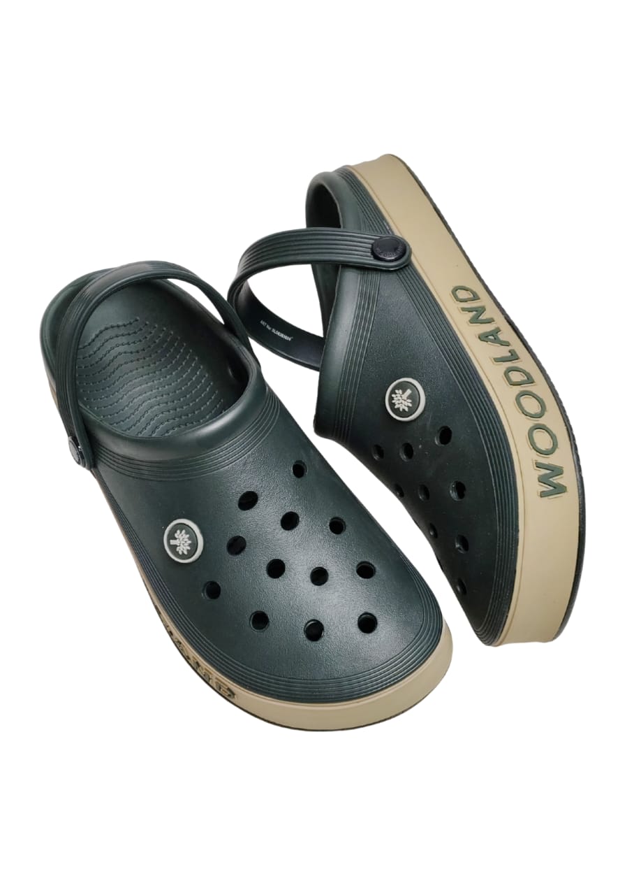 Men Olive Crocs