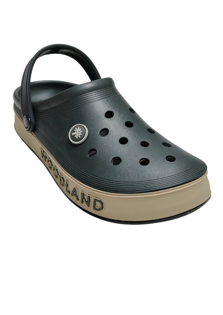 Men Olive Crocs