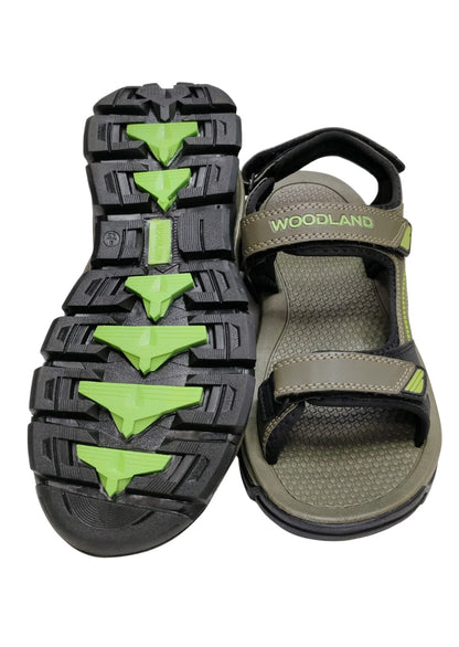 Men Olive Green Sandle