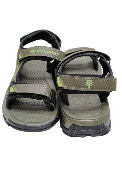 Men Olive Green Sandle