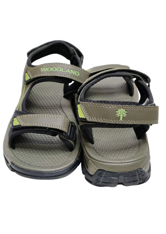 Men Olive Green Sandle